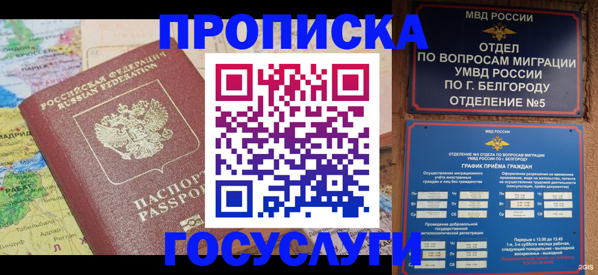 прописка регистрация в Димитровграде